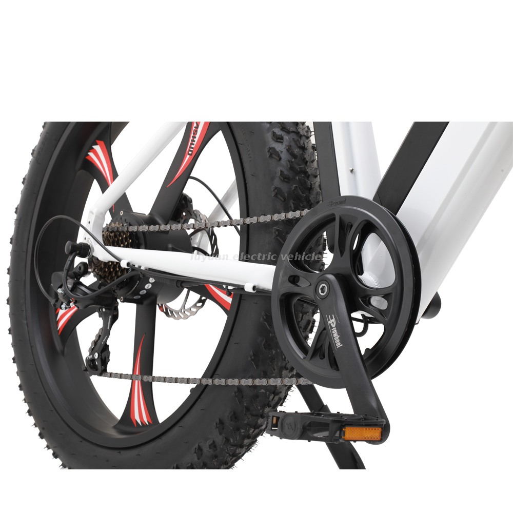 Ebicycle 32 km/h Neue geförderte Elektrofahrräder