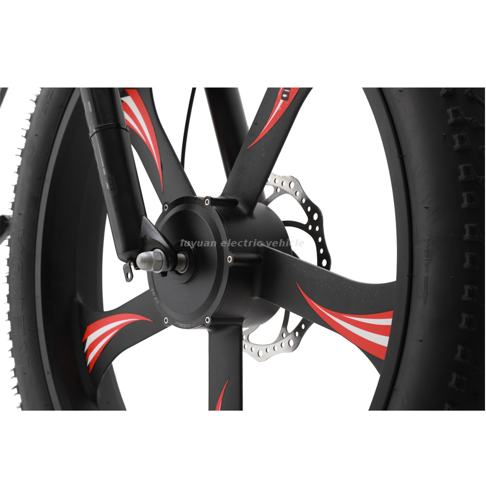 Elektrofahrrad EM 02WD